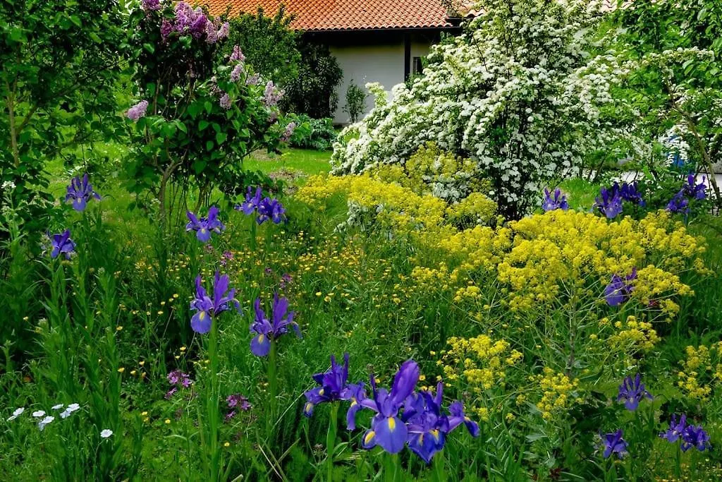 Holiday home Gite Belsoulel Au Coeur Du Tarn Ambres France
